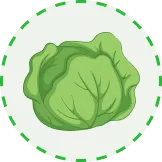 将精彩赛事带给您 - 开云体育下载