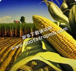 致力于专业体育数据服务 - 开云体育下载