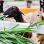 探索体育之美 - 开云体育下载
